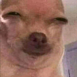 Alin profile
