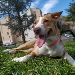 Rita profile