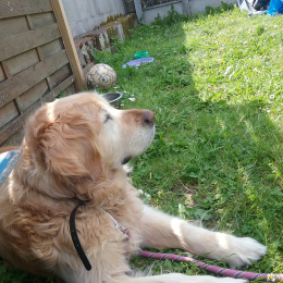 Elliot profile
