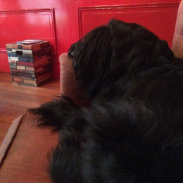 Géorgie profile