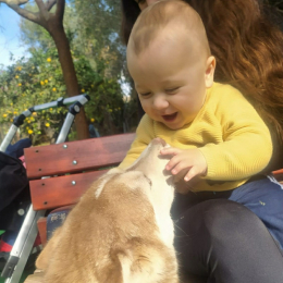 Beatrice elena profile