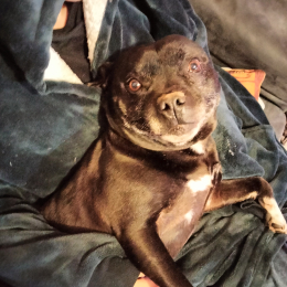 Narco profile