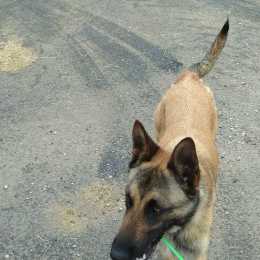 Viago profile