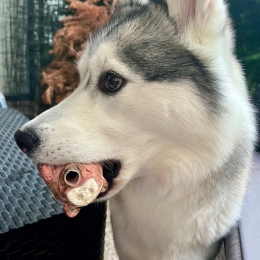 Kaly profile