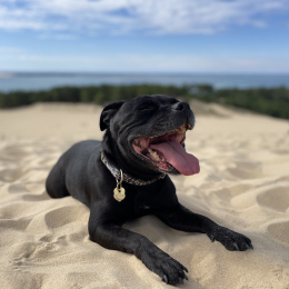 Nina profile
