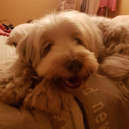 Estelle profile