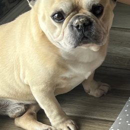 Marvin profile