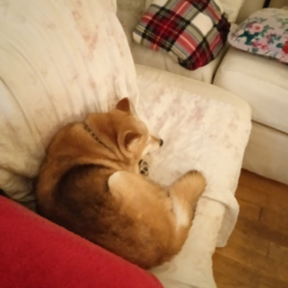 Poupette profile