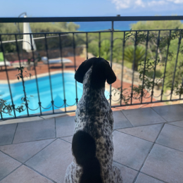 Otillo profile
