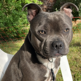 Sanka profile