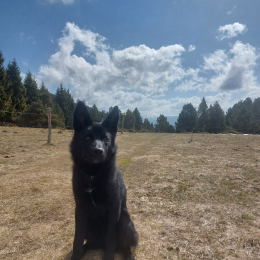 Aïgo profile
