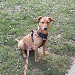 Given profile