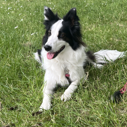 Tyna profile
