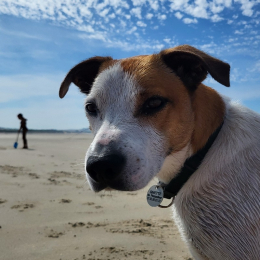 Ginette profile