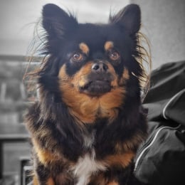 Jumpy profile
