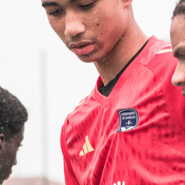 Pierre profile