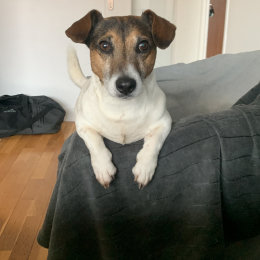 Titijack profile