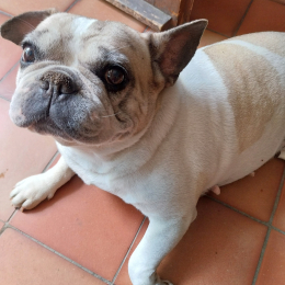 Louna profile