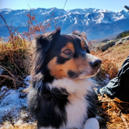 Naya profile