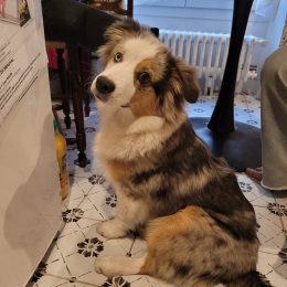 Eclair profile