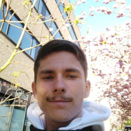 Raphaël profile