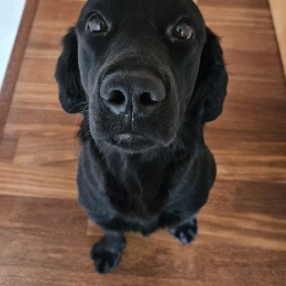 Booba profile