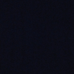 Romain profile