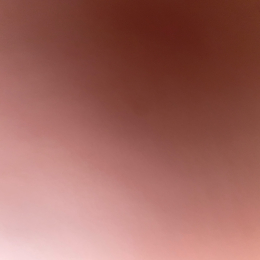 Golle profile