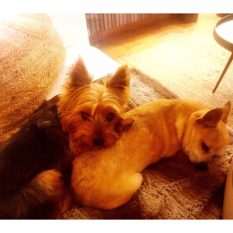 Marley et pablo profile