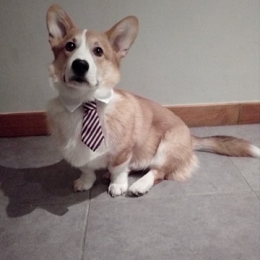 Jean jacques profile