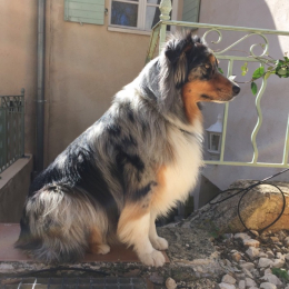Jimy profile