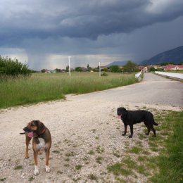 Abby et betty profile