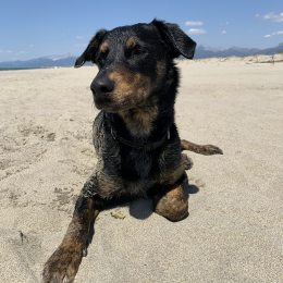 Tahita profile