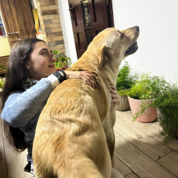 Antonia profile