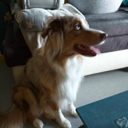 Mia profile