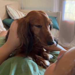 Karen profile
