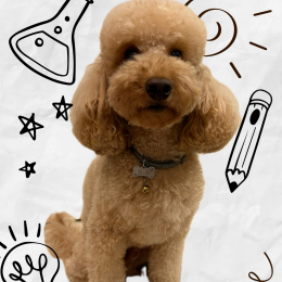 Milo profile