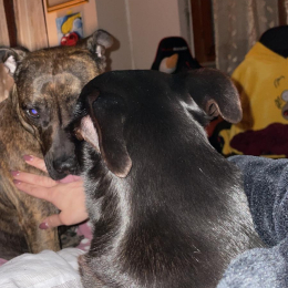 Derek e zulema profile