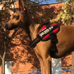 Núria profile