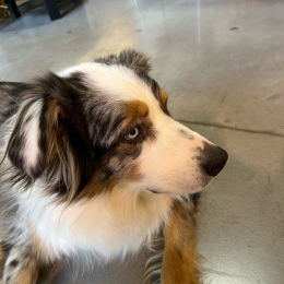 Theo profile