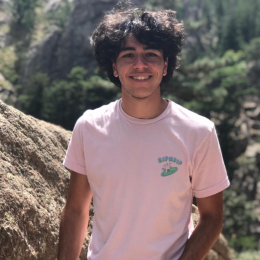 Nolan profile