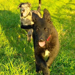 Khyda et sully profile