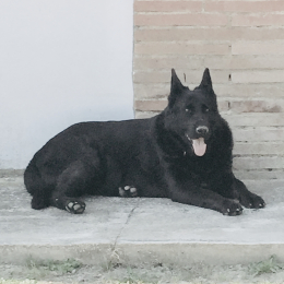 Jhero profile