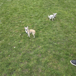 Blanca et noa profile