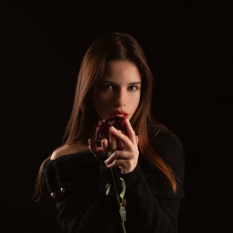 Sheherazade profile