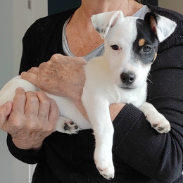 G.talbot@live.fr profile