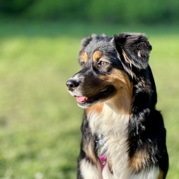 Review of Laura's profile