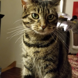 Hera profile