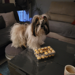 Louloute profile