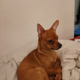 Lilou profile